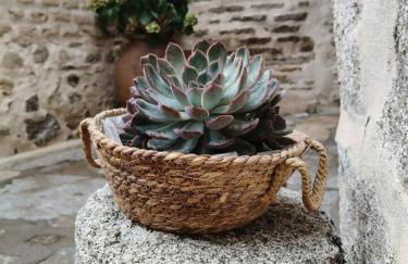 Casa Rural Abuelo Pedro - Foto 6