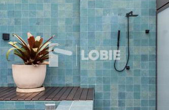 Lobie Dias Downtown - Foto 19