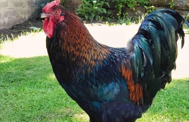 Lovely Semi-rural Caravan & Hot Tub - Sleeps Fam 6 - Photo 10