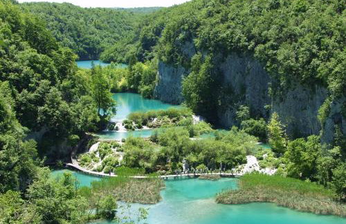 Apartments Rendulic - Foto 13