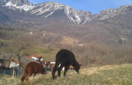 Casa da 2 a 7 posti nelle Piccole Dolomiti - Foto 20