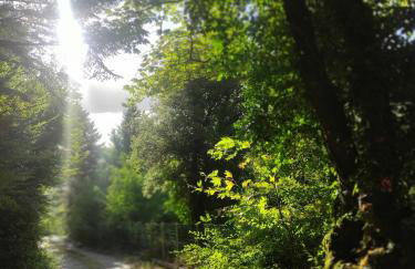 Stonehouse Karidis - Foto 51