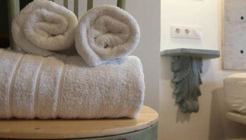 Entreacebedas rural&vacaciones, alojamientos con jardín PRIVADO, barbacoa y chimeneas - Foto 4