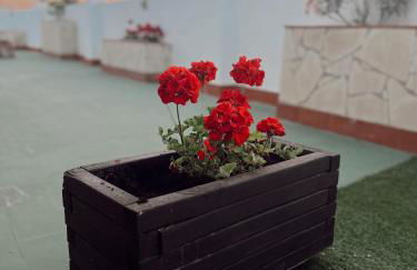 Ático la Terraza - Photo 32