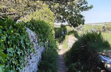 Corvus - Beautiful cottage half a mile from Mousehole - Photo 66