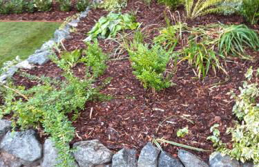 Schwalbennest Ostfriesland - Foto 18