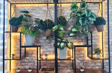 Cocoon'Inn Blagnac - Foto 7