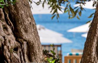 Villa Tatiana - Photo 58