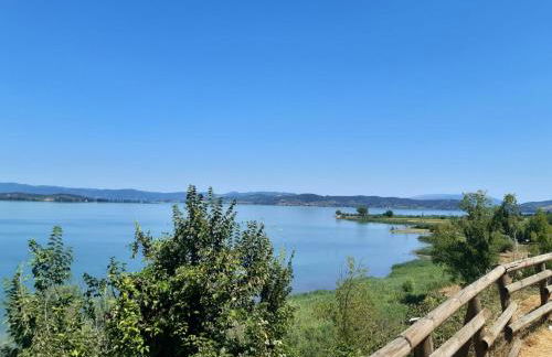 Il Mandorlo - Foto 46