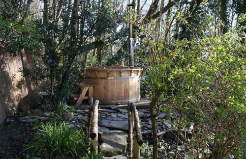 Mellow Mountain Eco Retreat Wales Hot-Tub Sauna - Foto 38