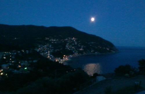 Villa Venino - Foto 30