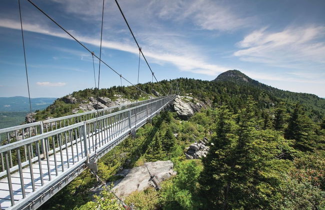 Dogwood at Main & Pine - Foto 11