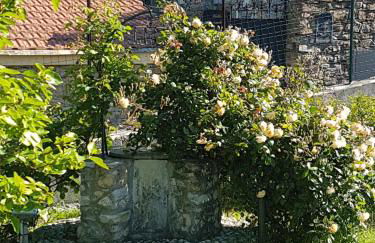 Villa Caterina - Foto 8