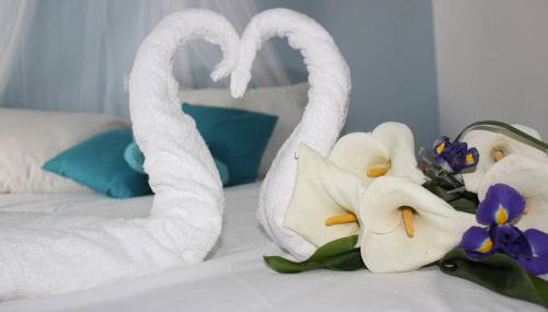 Sissi Olive home - Foto 1