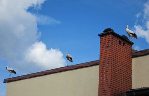 Domek Drewniany - Foto 47