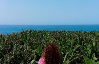 Rooftop Casa El Banco - Foto 32