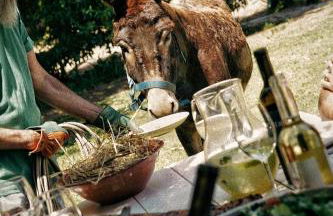 CABRA - Porto Covo - Foto 1