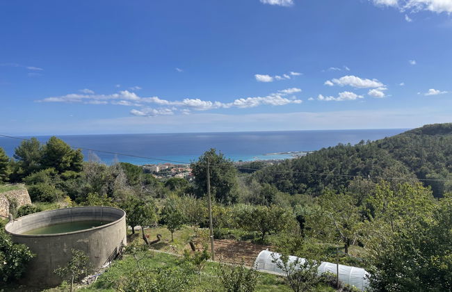 Casa del Pernambuco (PTL205) - Foto 11