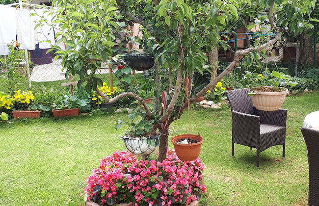 Apartmani M&L - Foto 27