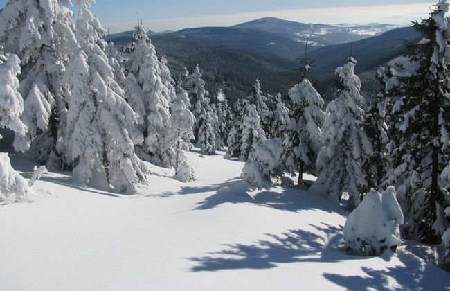 Holiday Home With Garden in Quiet Mountain Village - Foto 35