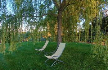 Poggio Olivo - Foto 23