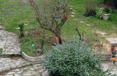 80 m2 appartement indépendant, 4 personnes et plus, piscine et jardin Direct Gare Aéroport - Foto 13