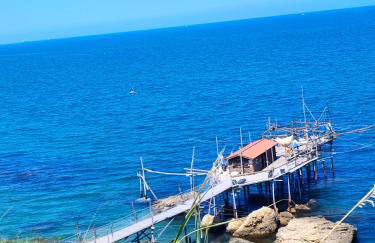 L'uliveto sui Trabocchi - Foto 27