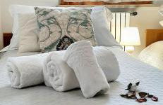 Casa Bahia - Foto 16