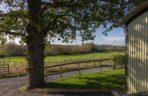 Abbey Farm Glamping & Cottage - Foto 15