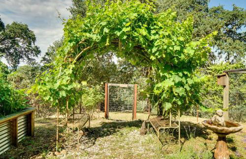 Hilltop Loft Ukiah Vacation Rental! - Photo 27