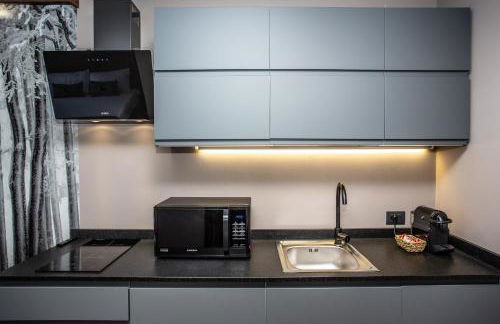 DEER LODGE Mountain view apartment with ski-in access - Foto 30