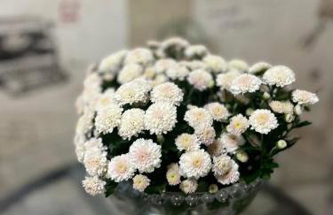 Mello's House - Foto 57