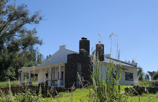 Bali and Eva Midlands - Foto 79