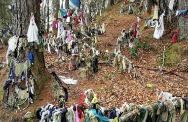 Hillhaven Lodge - Foto 39