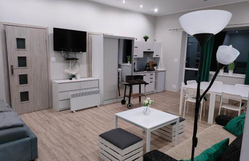 Apartament Baranek Nad Jeziorem - Foto 6
