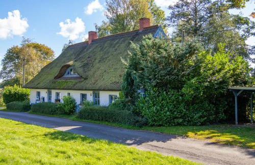 Lütt Stuuv am Dorfanger - Foto 26