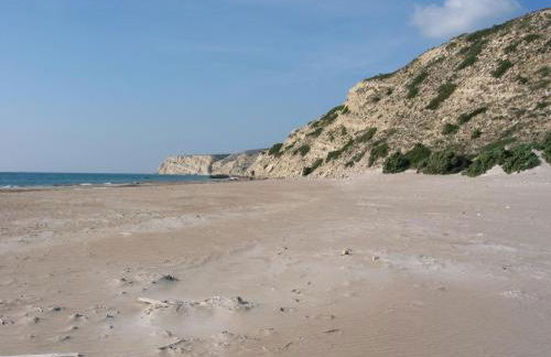 Level Houses - Foto 39