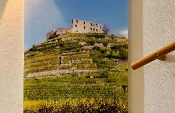 Ferienwohnung Im Weingewölbe - Foto 23