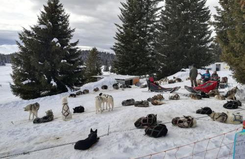 Chamrousse 1750 - Le Taillefer - Appartement classé 3 étoiles - Foto 21