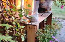 Ferienwohnung Wipperau I - Foto 34