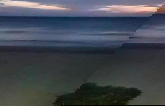 Beach Paradise by Oceanfront Condos - Foto 34