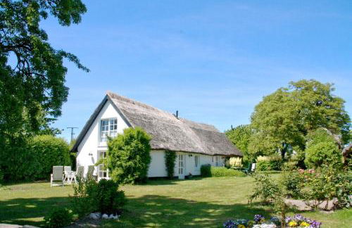 strandnahe Idylle am Meer, private Badestelle mit Strandkorb - Gutshof Ostseeblick FeWo Nr 04 - Photo 32