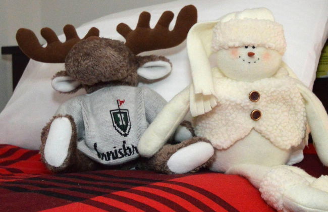 2 Br: Whistlepunk 28 - Foto 5