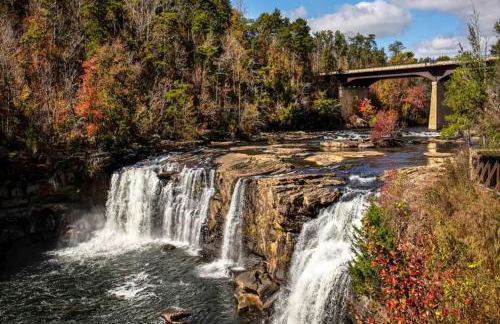 River Cabin - Fire Pit, Kayaks, Games, Dog Park - Foto 8