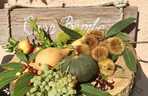 Casa Bembo - Foto 46