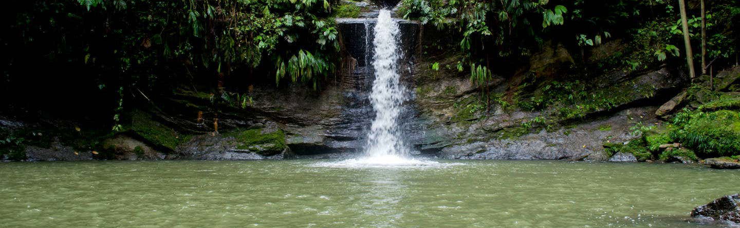 Carpishuyacu Waterfall Day Trip