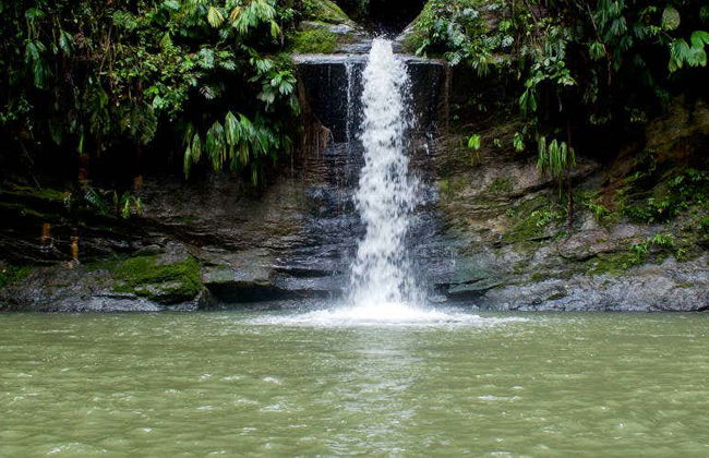 Carpishuyacu Waterfall Day Trip - Photo 1