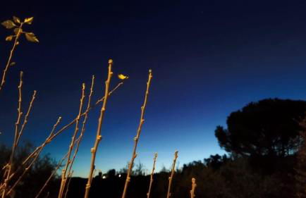 Serendipity - Foto 31