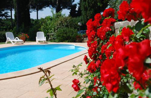 Ai due Cedri - Foto 1