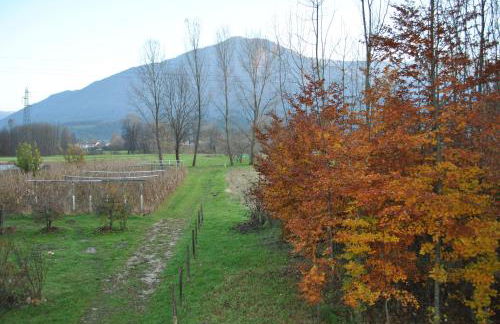 Agriturismo Il Girasole - Foto 28